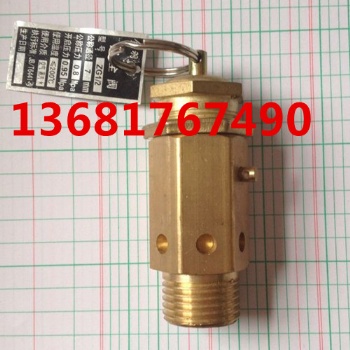 A21W-16TDN15全六角安全阀