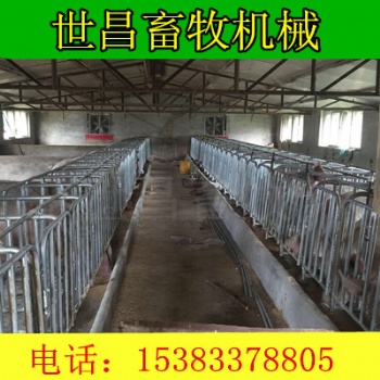 猪场限位栏设备河北世昌畜牧厂家供应