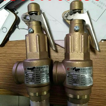A27W-10T全铜安全阀