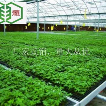 滨州蔬菜整体移动苗床使用20年华耀定制