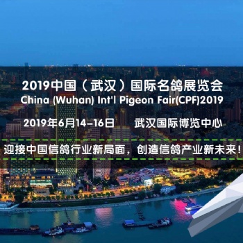 2019中国(武汉)国际名鸽展6月14—6月16