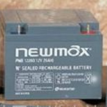 原装NEWMAX蓄电池FNC12380/12V38AH/规格型号参数