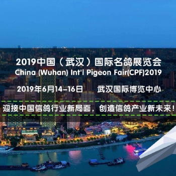 2019 CPF (武汉)国际名鸽展