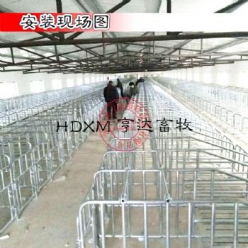 亨特畜牧厂家定位栏热镀锌限位栏十个猪位限位栏价格尺寸