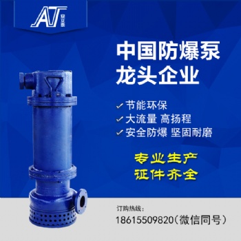 专业生产矿用防爆潜水泵 IP×8防护等级