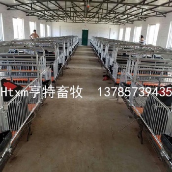 贵州母猪产床小猪保育床定位栏厂家亨特畜牧厂家
