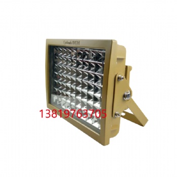 防爆泛光灯100W150W200W免维护LED防爆灯高效节能