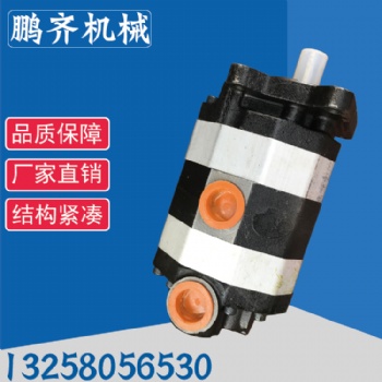 合肥鹏齐齿轮泵CB-B600~1000低噪音大流量齿轮液压泵现货