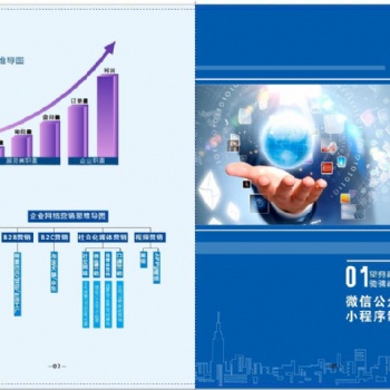 网站建设与维护 微信支付服务商 望海网络 小程序开发