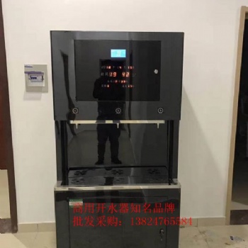 广东威可利单位直饮水机厂家 高端反渗透饮水机 WR-90L