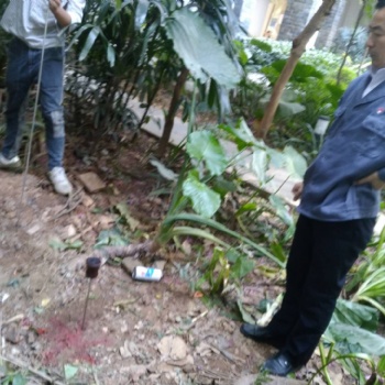 东莞小区商品房暗管漏水，家里不用水不渗水水表一直在转动