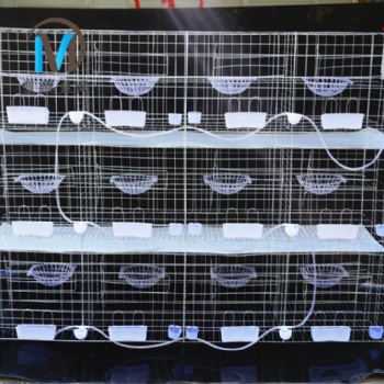 厂家批发加粗加密四层16位鸽子笼养殖设备 鸽笼配件 养殖鸽笼