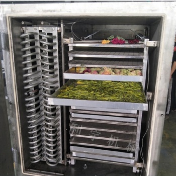 无花果冻干设备 苹果脆片真空冻干机价格 西洋参烘干机厂家
