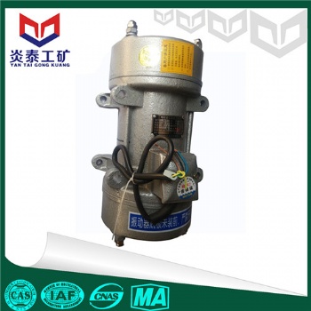 ZW系列平板振动器 混凝土振动器价格 振动器