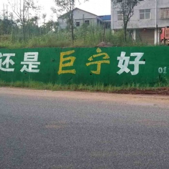 岳阳市君山区湘阴县岳阳县墙体广告、彩绘喷绘专家