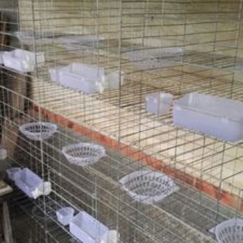 批发养殖鸽子笼 肉鸽笼 元宝鸽养殖铁丝笼具 4层16位鸽笼带配件全套