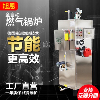 节能燃气蒸汽发生器厂家