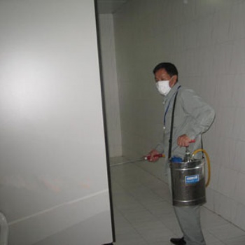 广州黄埔白蚁防治收费标准 室内消毒杀虫一次清除效果好