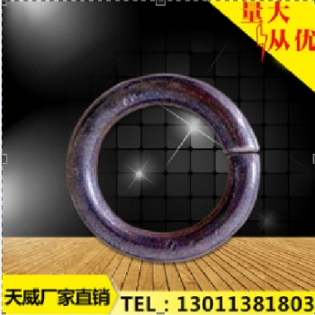 天威20-60规格型号 保护链维修配件 高密度圆环
