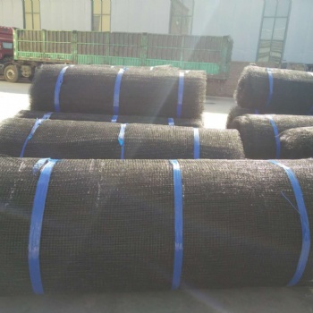三维侵蚀防护毯 品质保障 服务周到 安平县实力厂家