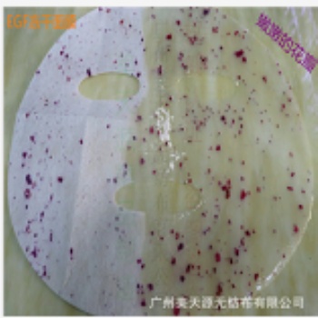 广州美天源玫瑰花瓣冻干面膜