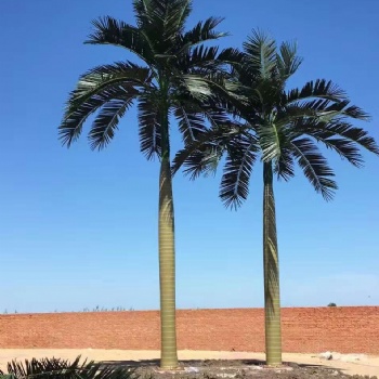 仿真椰子树 仿真大树