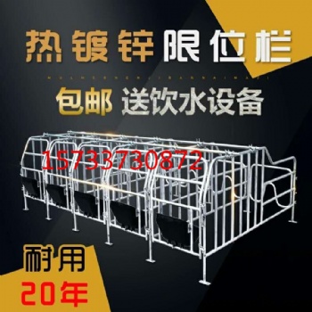 母猪定位栏加厚限位栏2.5新款 10位养殖场猪用产床保育床设备两用
