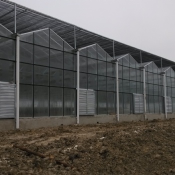 智能玻璃温室/玻璃大棚建造/阳光板玻璃温室