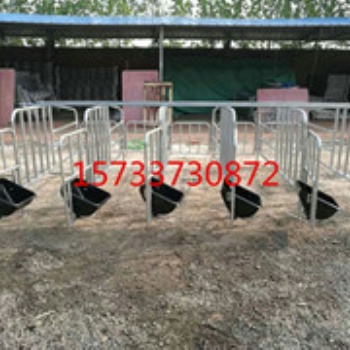 沧州仔猪分娩床定位栏保育床养殖场猪用设备