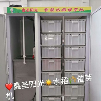 水稻发芽机 商用大型种子催芽发芽机 各种种子催芽 水稻育苗机