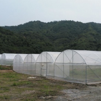 花卉大棚厂家/花卉智能玻璃温室大棚/花卉种植大棚