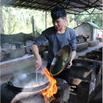 广州帽峰山生态园行程我们帮你安排