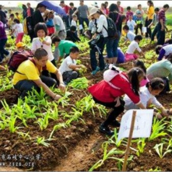 广州户外旅游聚会出行好地方