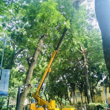 广东省高空作业车出租升降车出租登高车出租