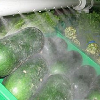 广西南宁超市蔬菜水果保鲜超声波加湿设备正雄环保科技供应