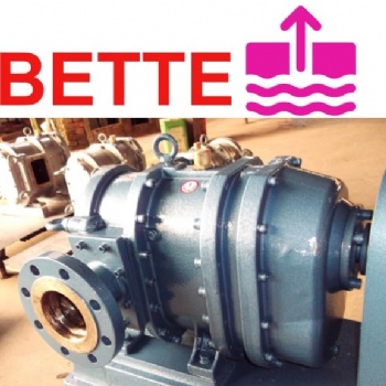 德国贝特BETTE转子泵直通型
