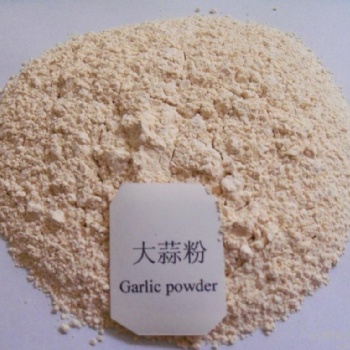 大蒜粉 大蒜片 烤蒜粉 拳头产品 调味品香辛料 厂家 琦轩食品 广东东莞
