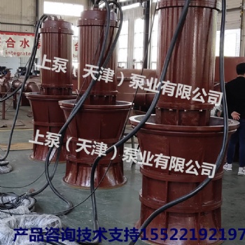 广东深圳潜水轴流泵大流量轴流泵