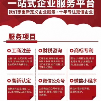 广州正规的代理记账公司 广州未来财税