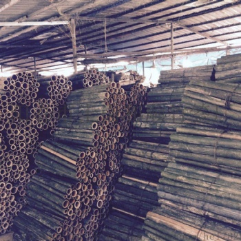 竹签厂家 广东竹签加工厂家烧烤签 竹签厂 竹签批发 竹签订制