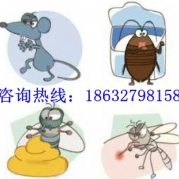 沧州专业消杀蟑螂，灭老鼠，除四害，清除，不留后患