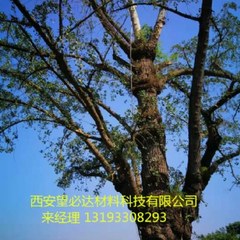 西安望必达可定制高性能复合材料古树避雷针5-25m