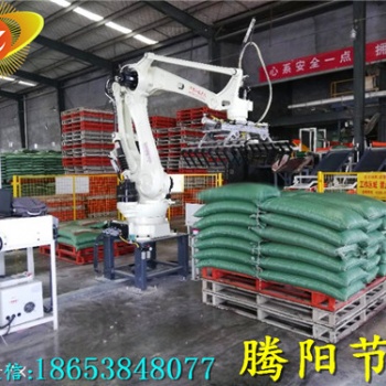腾阳公司的机械手码垛机