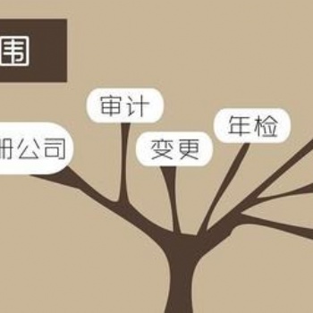河南唐鼎企业管理咨询有限公司提供专业工商服务