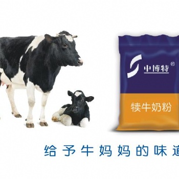 犊牛饲养管理与犊牛奶粉的价格