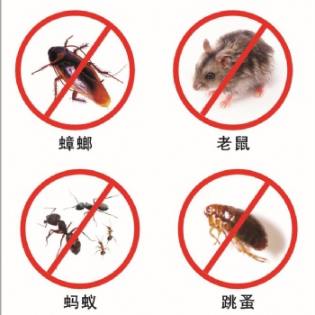 海南省海口市酒店消杀