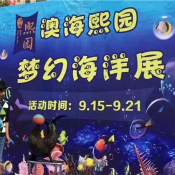 海狮表演租赁海狮表演出租