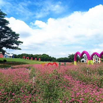 员工集体秋游中秋户外团建去哪好松山湖生态园团建基地