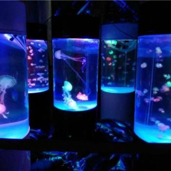 海洋生物展览海洋生物展租赁出租