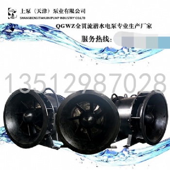350QGWZ/QGWZS-4000QGWZ/QG 广东全贯流潜水电泵